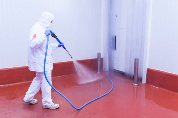 Trusted Burkburnett, TX  Pressure Washing Services Experts