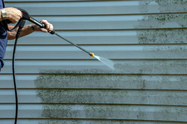 Best Solar Panel Cleaning  in Burkburnett, TX